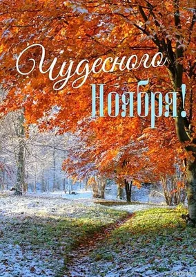 Красивые картинки с Добрым Утром Декабря 2023 | Открытки.РУ