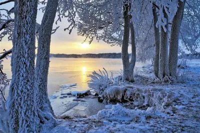 Красивые открытки с добрым утром природа (Много фото) - treepics.ru