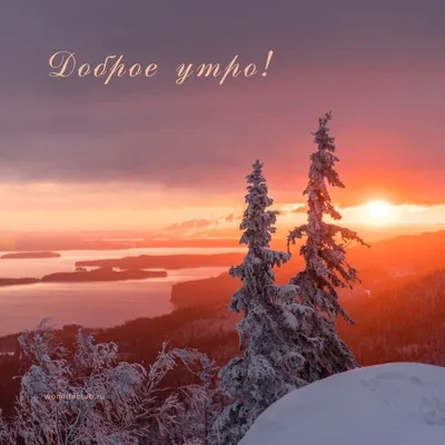 С добрым зимним утром | Картины с изображением природы, Зимние сцены,  Зимние деревья