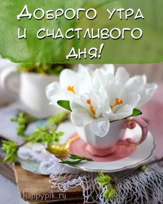 Доброе утро!#моиродные#родственники#друзья#доброеутро | TikTok