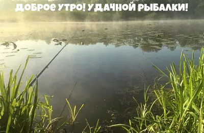 Доброе утро рыбаки картинки