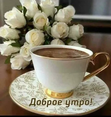 Coffe Yummy - Утренние мечты за чашечкой кофе☕....обязательно сбудутся!  Главное верить! Всем доброе утро!😊 | Facebook