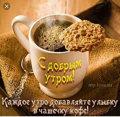 📎05 🌞С добрым утром с чашкой кофе и розами | Funny breakfast, Coffee  breakfast, Food