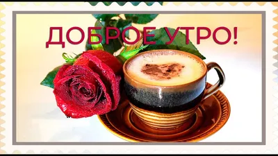 Чашечка кофе для тебя ! | Кофе, Утренний кофе, Чашка кофе