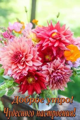 Купить «ДОБРОЕ УТРО», каталог «Букеты с хризантемами» в Королёве - «Ameli»  - Интернет магазин цветов в Королеве.