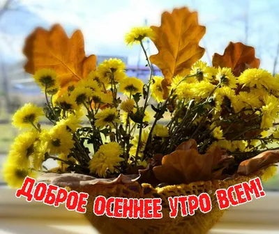 🎀ОлУ. Доброе утро! Запах хризантем…» — создано в Шедевруме