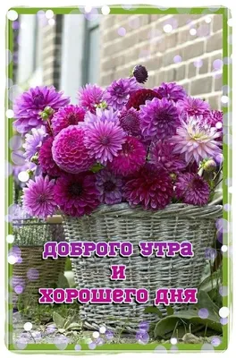 ДОБРОЕ УТРО! 🌸💜🍃🌺🌿💜🌸 ЛЕТНЕЕ УТРО! | Винтажные предпосылки, Доброе  утро, Букет цветов