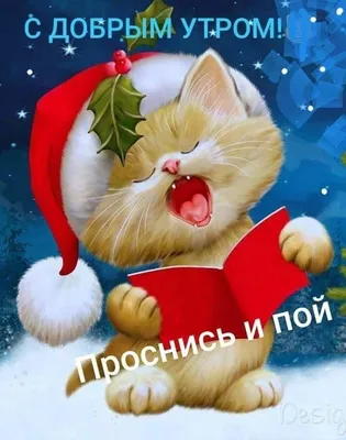 23 декабря, Доброе Утро❄☕🎄С наступающим Новым Годом 2024🎅 #ВэтотДень... |  TikTok