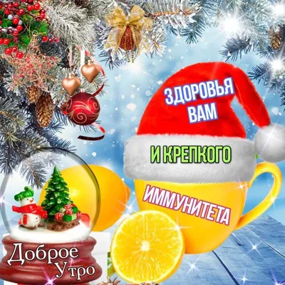 veronika smolkova on X: \"@Tkachenko2012 С добрым утром, с новым днем! Удачи  , добра и радости! С наступающим Старым Новым годом!  https://t.co/phaVmwHtI1\" / X