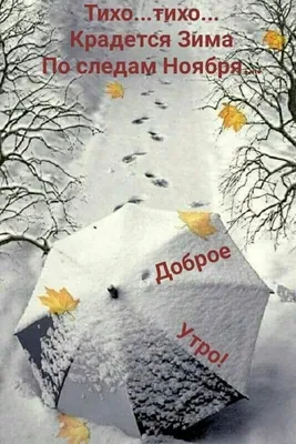 С первым снегом! ❄