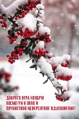 Идеи на тему «С первым снегом!» (340) в 2024 г | доброе утро, открытки,  осенние картинки