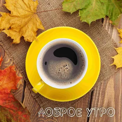 Доброе утро, сентябрь 🍁 | Доброе утро, Открытки, Сентябрь