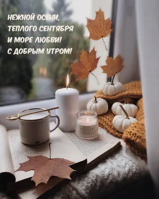 Доброго Утречка! 13 СЕНТЯБРЯ. #доброгоутречка #утро #сдобрымутром #утр... |  TikTok