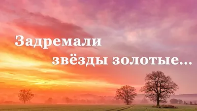 Пин от пользователя Сергей на доске Доброе утро | Детские елочные игрушки,  Счастливые картинки, Доброе утро