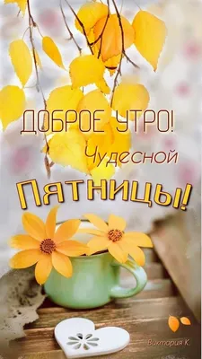 Доброе утро! Сегодня 18 ноября (суббота), в Российской Федерации отмечается  день рождения Деда Мороза! .. | ВКонтакте