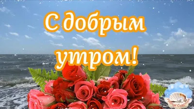 Сергей Захаров: Доброе утро пятницы!. Пусть сегодня ладятся все дела, и  каждый миг будет наполнен позитивом! - Лента новостей ДНР