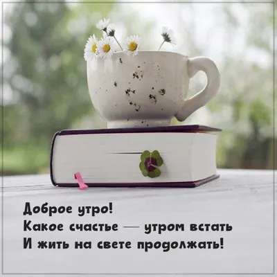 Доброе утро: красивые фотографии, картинки и изображения - pictx.ru