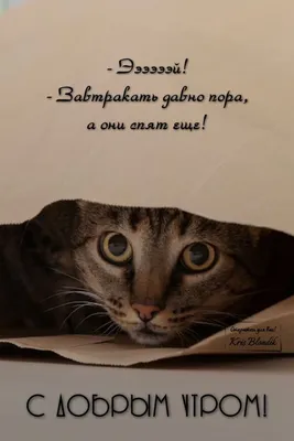 Юмор+жизнь - Доброе утро! 😀 | Facebook