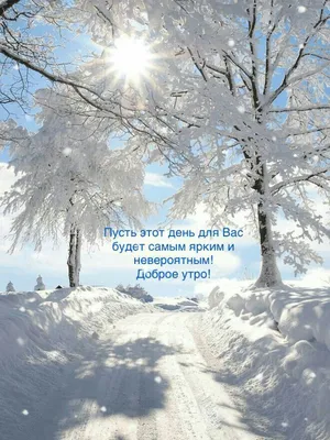 Доброе #утро, друзья и с первым снегом! Одевайтесь тепло и всем отличной  пятницы! http://krsk.kp.ru/online/news/1866508/ .. | ВКонтакте