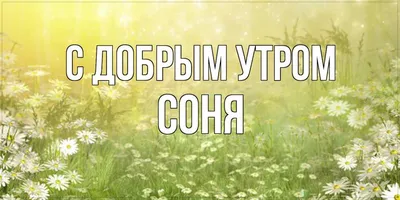 Доброе утро всем от меня и Сони 💜 | 💙Взлётная карамель💜 | Дзен