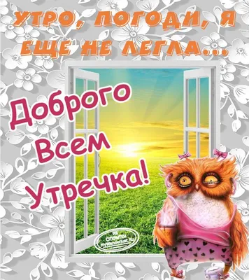 Всем бодрости! Особенно за рулем и в пробках. #утро #кофе #сова #owl  #coffee | Открытки, Доброе утро, Кофейные иллюстрации