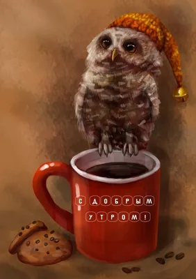 Векторная иллюстрация моды милая сова держит чашку кофе, доброе утро,  печать одежды | Премиум векторы