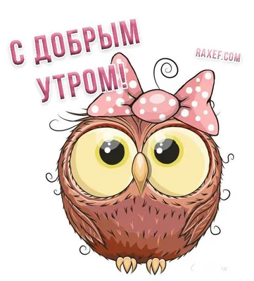 А ты сова? С добрым утром, совы! Качественные открытки с совами! С добрым  утром! Желаю хорошего дня! Картинка с... | Страница 13 | Открытки,  Картинки, Доброе утро