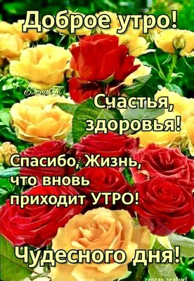 Спасибо, Жизнь, за новый день!!!❤️ 🙏💐💝🌺 | Доброе утро, Открытки,  Счастливые картинки