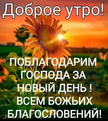 Картинки с надписью - Спасибо Вам, мои друзья, что утром просыпаясь....