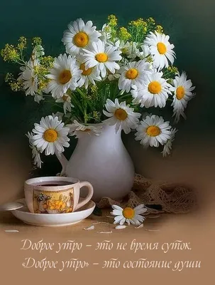 https://fotobase.co/photo/dobroe-utro-krasivoe/964468/