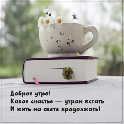 Картинки \"Доброе утро\" (100 открыток) • Прикольные картинки и позитив