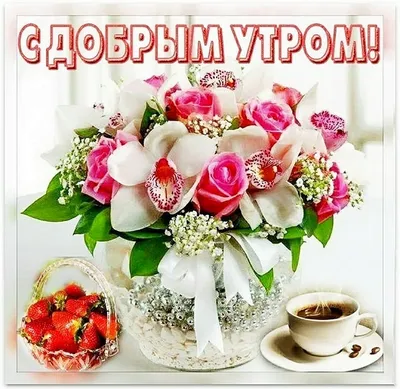 Зимние картинки \"Доброго утра и хорошего дня\" (65 штук)
