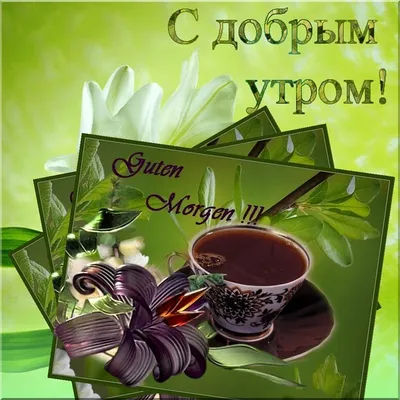 Открытки \"С добрым утром!\" (1217 шт.)