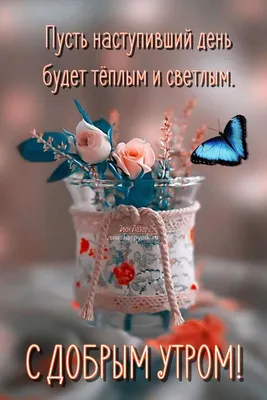 Красивые, необычные картинки: \"Доброе утро!\" (569 шт.)