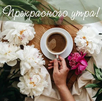 Доброе утро. стиль винтажа стоковое изображение. изображение насчитывающей  приветствие - 272779217