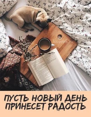 Открытки с добрым утром красивые новые - 89 фото
