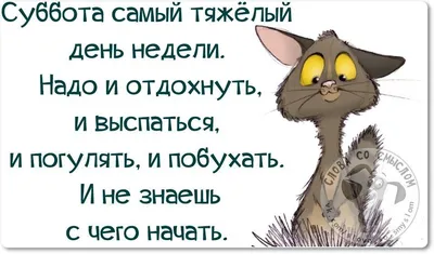 Доброе утро суббота картинки приколы