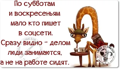 Картинки дни недели суббота с добрым утром смешные | Юмор о работе,  Позитивные цитаты, Смешные высказывания