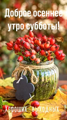 Доброе осеннее утро субботы - самые новые картинки (42 ФОТО) | Праздничные  открытки, Простые цветочные композиции, Поздравительные открытки