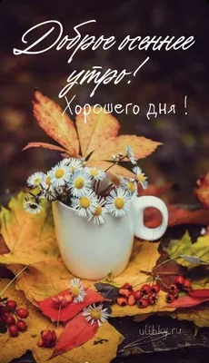Кофе на утреннем небе - Доброе утро!☀️☕️🌸 #утро #доброеутро #осень  #сентябрь #суббота #кофе #времякофе #coffee #coffeetime | Facebook