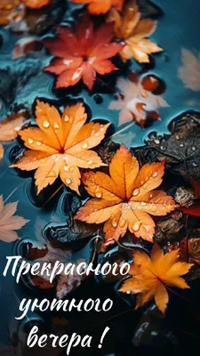 ДОБРОЕ ОСЕННЕЕ УТРО ДРУЗЬЯ, ПРЕКРАСНЫХ ВЫХОДНЫХ#УТРО #ОСЕНЬ #СУББОТА # |  TikTok