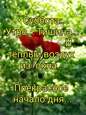 Доброе весеннее утро субботы - самые красивые открытки (45 ФОТО)