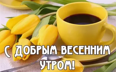 Елена Позднякова - #Утро# весна#суббота#прекрасного настроения# | Facebook