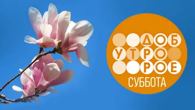 sm1rnovamari - 🌞ДОБРОЕ УТРО ВОСКРЕСЕНЬЯ!🌞 . Вчера зима, а сегодня весна!  Погода не даёт скучать! .😉 #утро #воскресенье #март #весна #солнце  #настроение #красота #здоровье #смирновамарина | Facebook