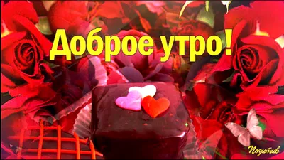 Открытка с именем светочка Красатуля Доброе утро зайчики позитив. Открытки  на каждый день с именами и пожеланиями.