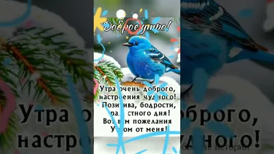 танечка с добрым утром хорошего дня тебе｜Поиск в TikTok