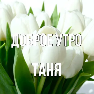 Таня доброе утро