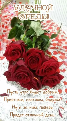 УДАЧНОЙ СРЕДЫ! 💖🌸🦋💐🌺🌿🦋🌸 ПРЕКРАСНОГО ДНЯ! 💖 | Поздравительные  открытки, Открытки ко дню рождения, Шахрукх кхан