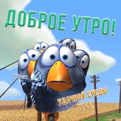 Картинка - Доброго утра! Удачной среды!.