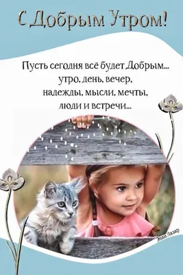 ДОБРОЕ УТРО! 💗🦋🤪🌼💐😘🌿🦋🌼🤩💗 Улыбнись, и весь мир улыбнется тебе! 😄  | Доброе утро, Мысли, Милые открытки